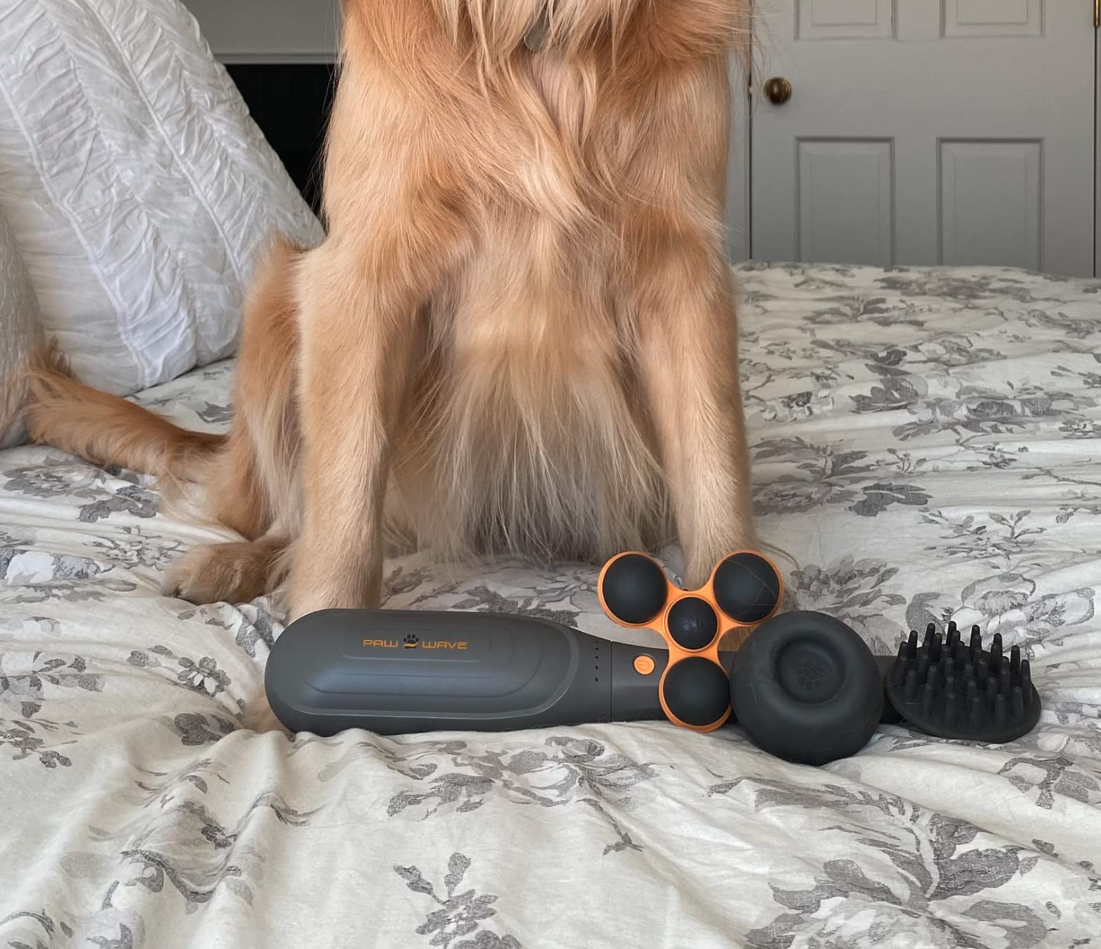 PAW WAVE posé dans un salon suggérant usage facile à domicile