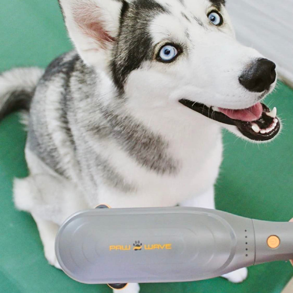 PAW WAVE poignée antidérapante adaptée au confort et contrôle