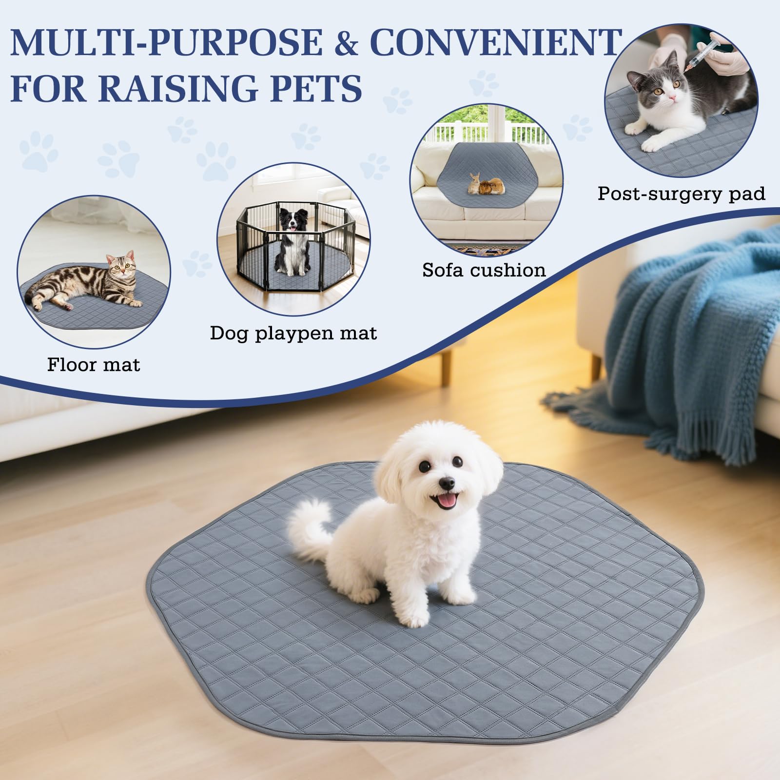 Pawaboo comparaison d'échelle avec une main pour illustrer transportabilité compacte