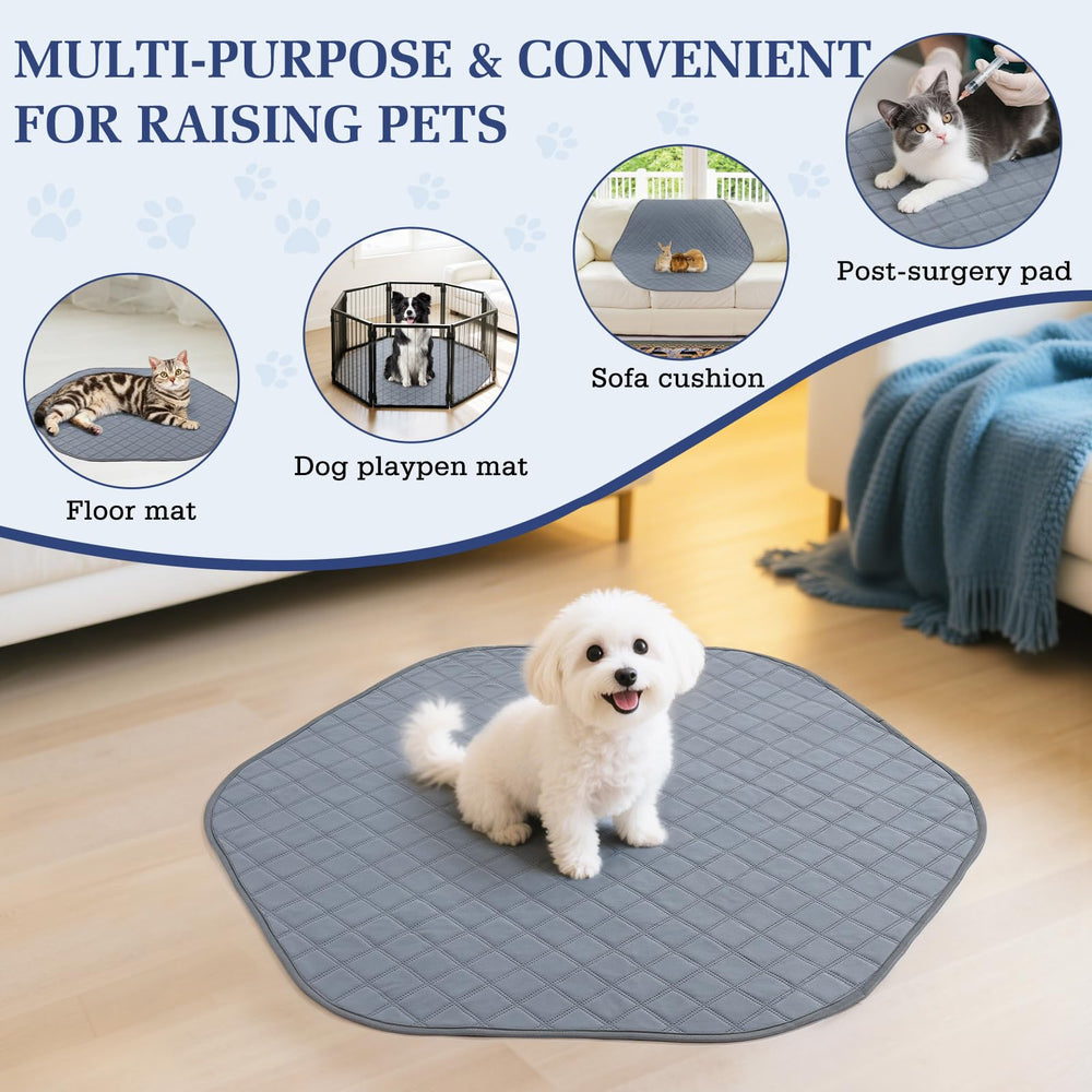 Pawaboo comparaison d'échelle avec une main pour illustrer transportabilité compacte