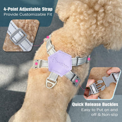 Pawaboo boucle verrouillable et anneau D pour fixation sûre de la laisse
