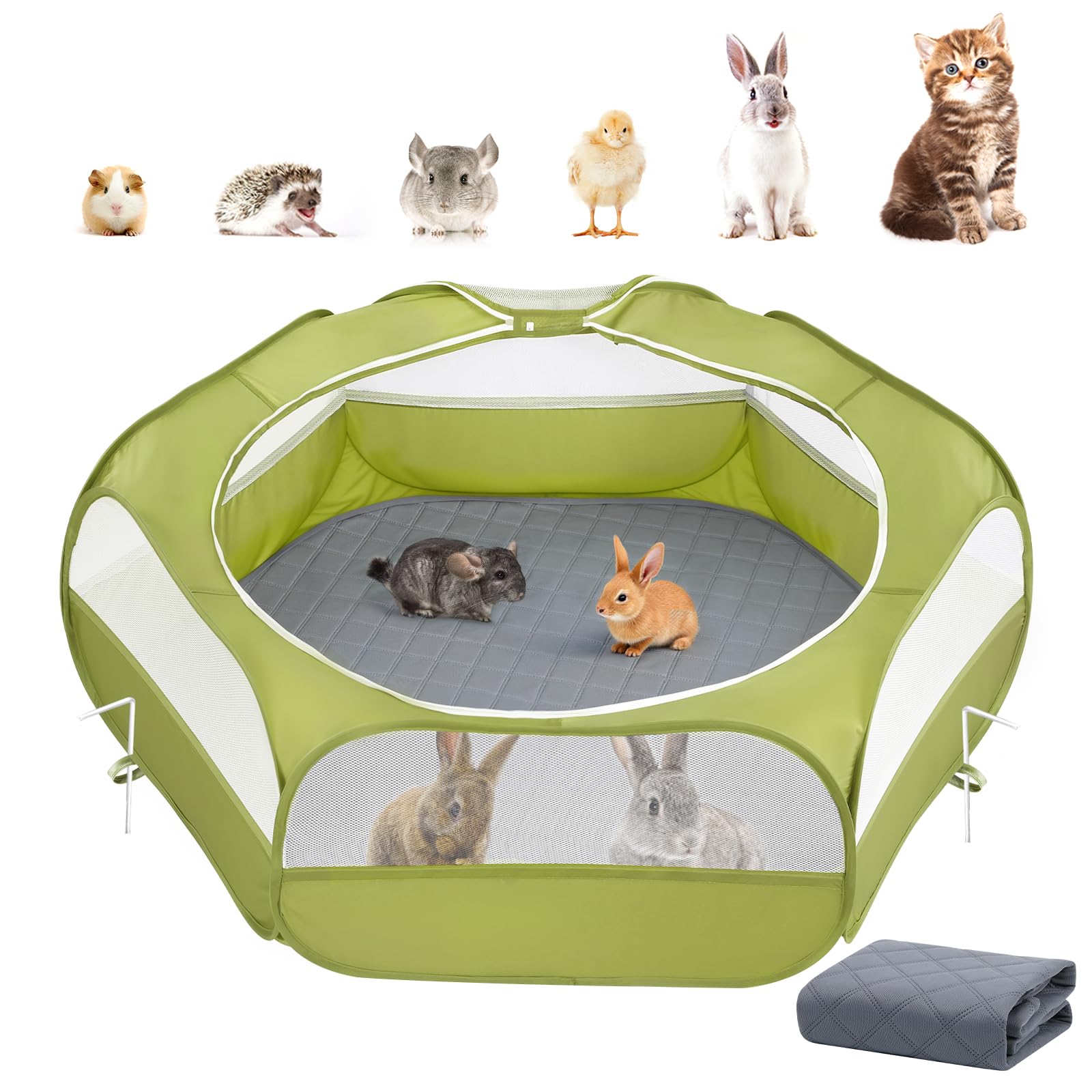 Pawaboo vue de face du parc vert et gris montrant la fermeture et stabilité