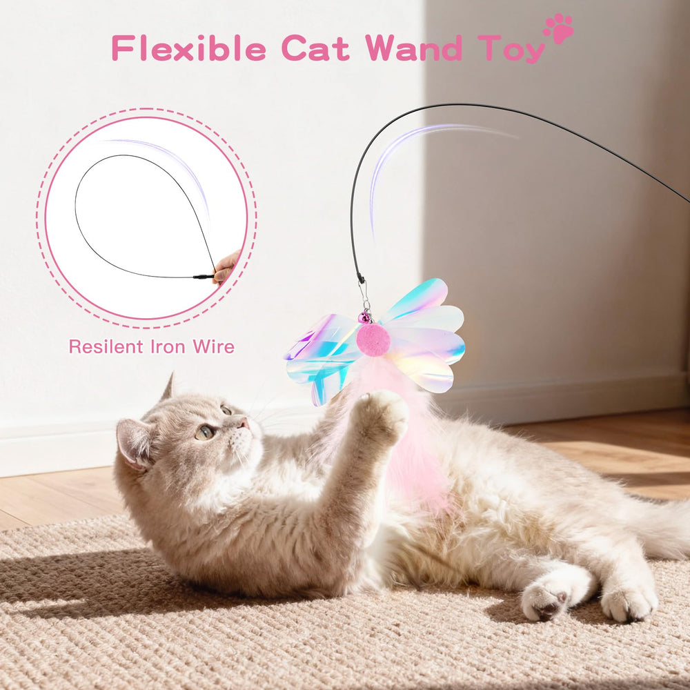 Pawaboo gros plan sur plumes naturelles, attire visuellement le chat