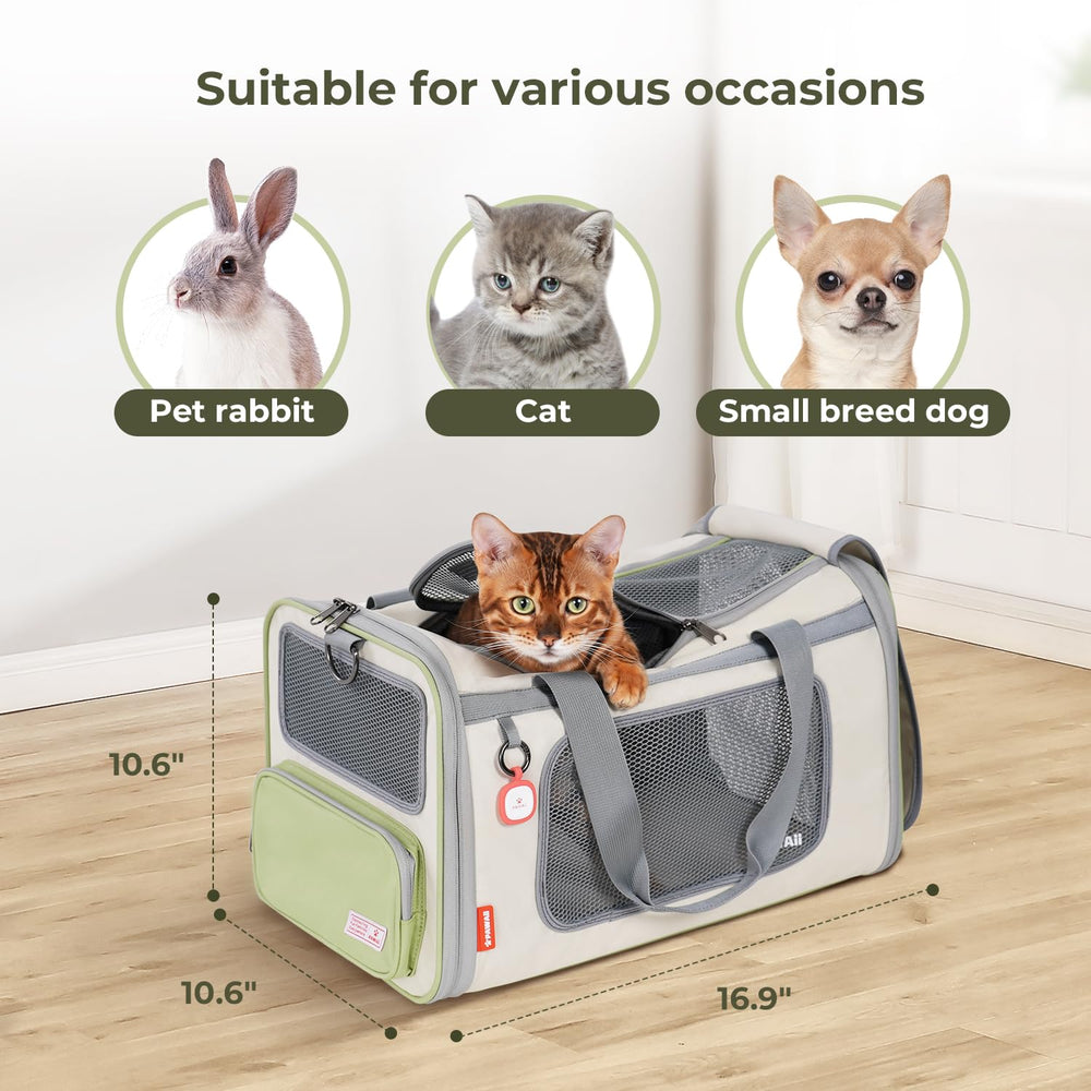 Pawaii mise en situation voyage, facilite déplacements sereins avec chat
