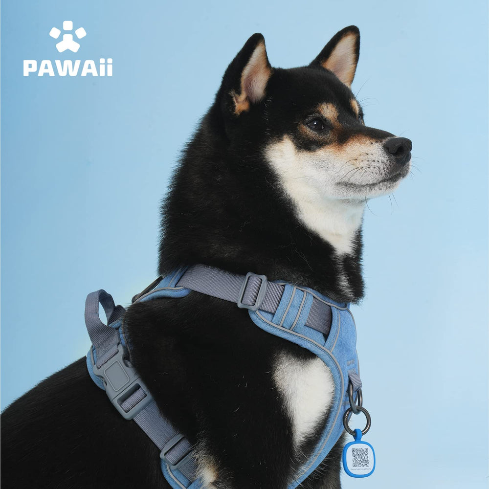 Pawaii guide des tailles montrant comparaison d'échelle pratique