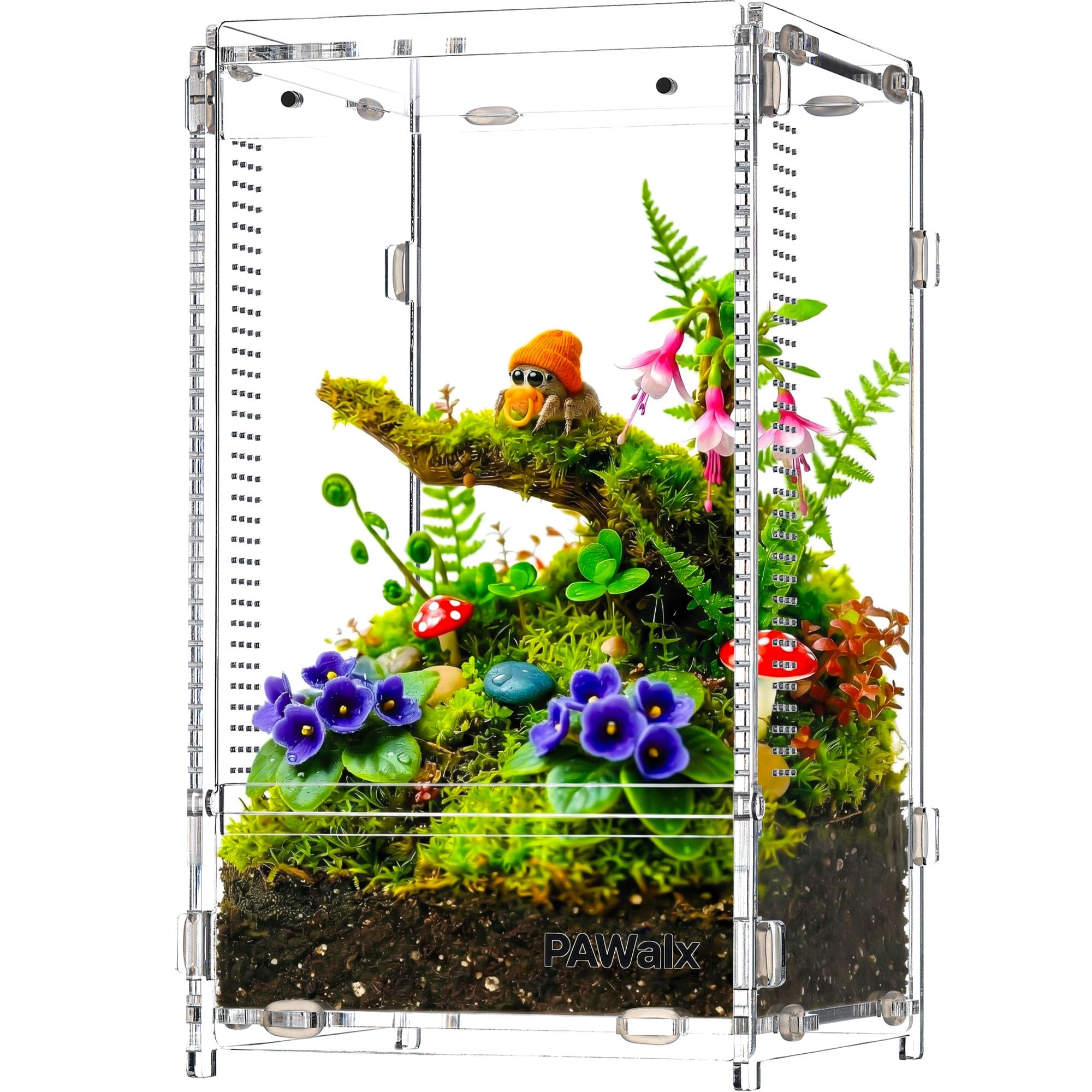 PAWALX vue frontale du terrarium montrant visibilité et confinement