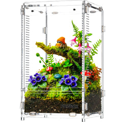 PAWALX vue frontale du terrarium montrant visibilité et confinement