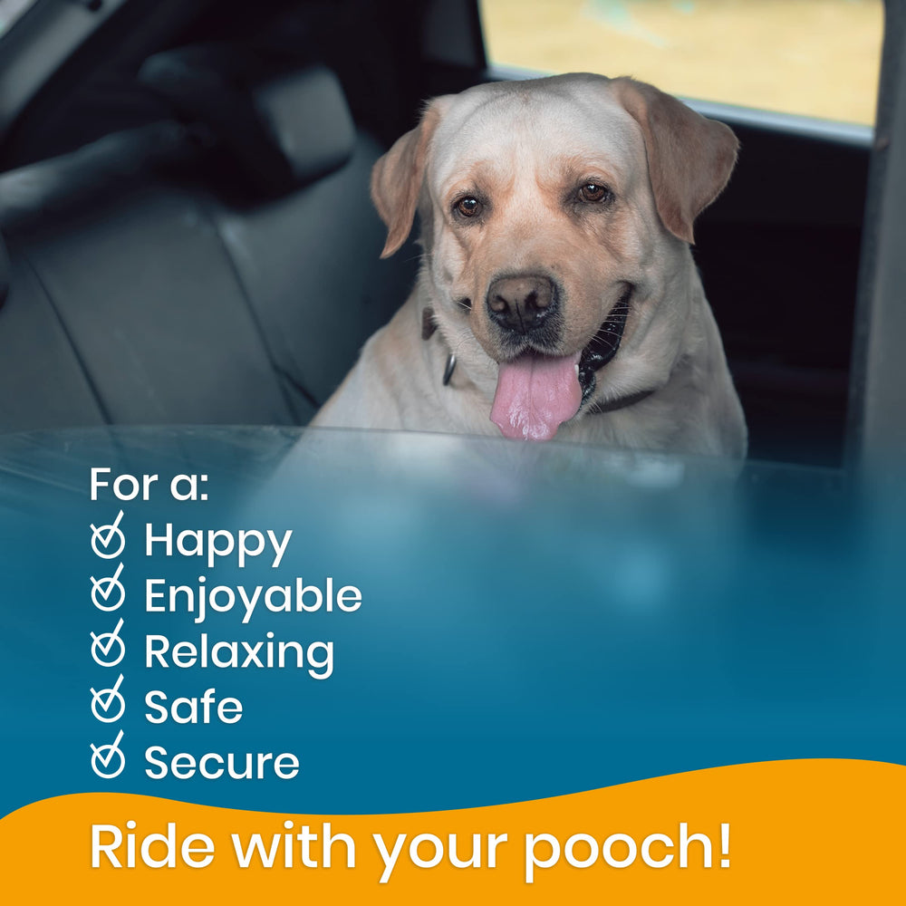 PAWBEE utilisation en voiture pendant un trajet pour confort et sûreté