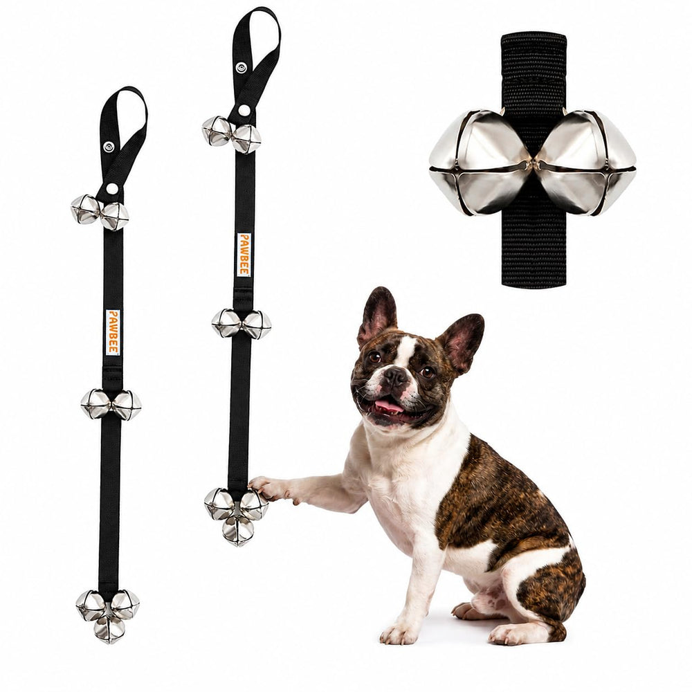 PAWBEE cloches devant emballage montrant robustesse et lot de deux