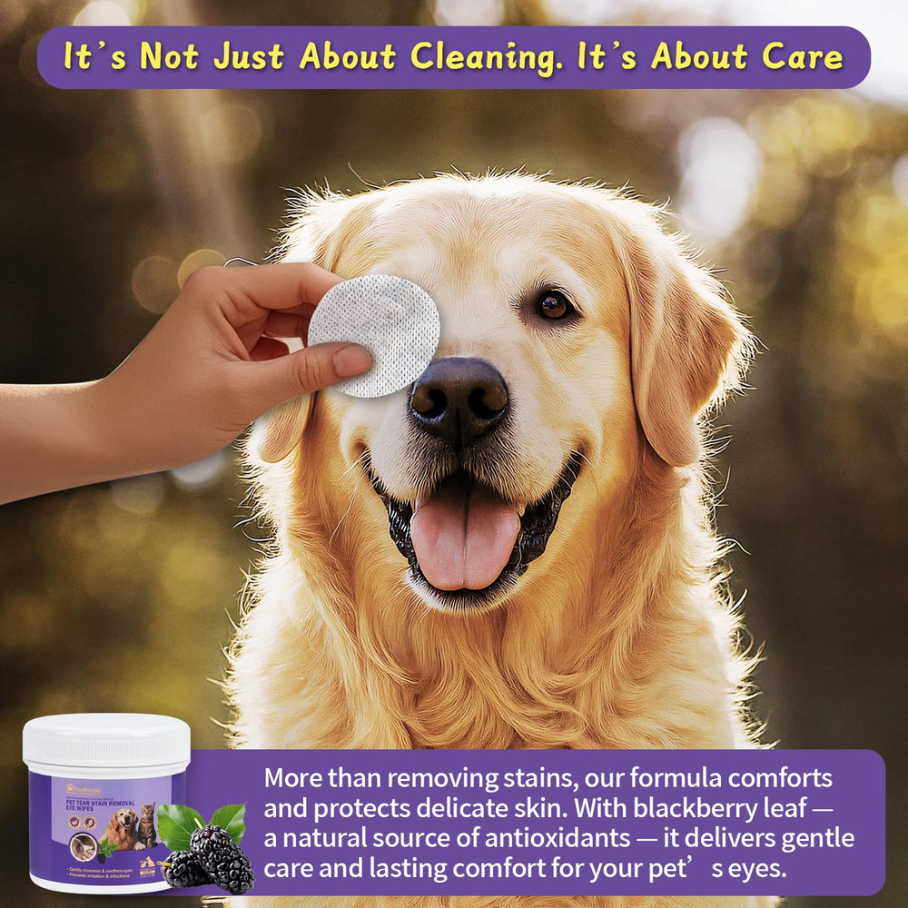 PawBubble lingette en usage sur un chien soulageant la zone des yeux