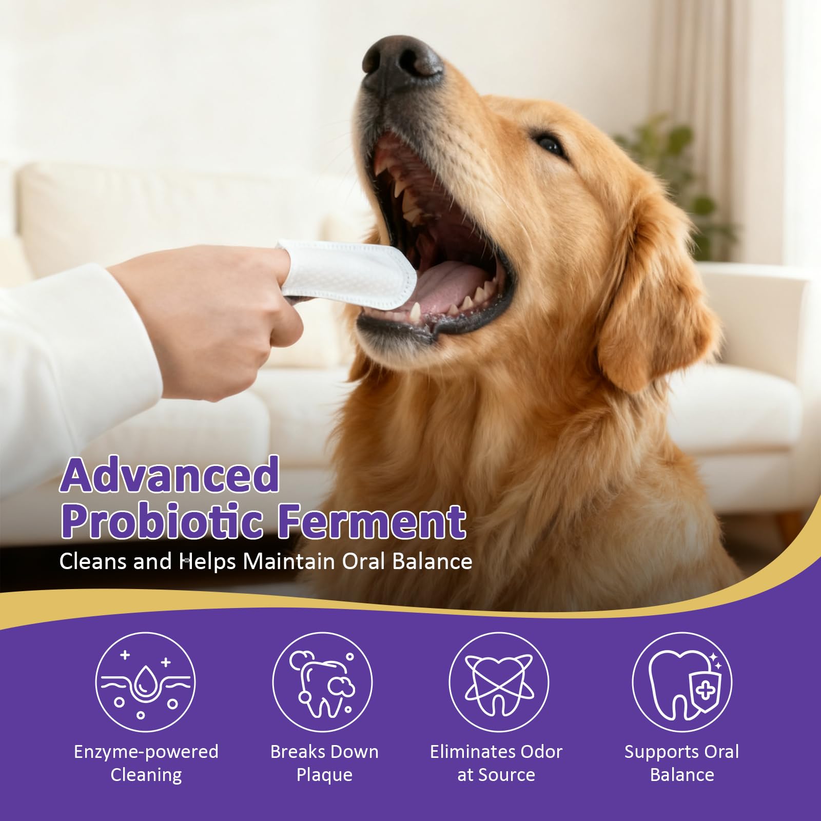 PawBubble détail face texturée pour retrait efficace de la plaque
