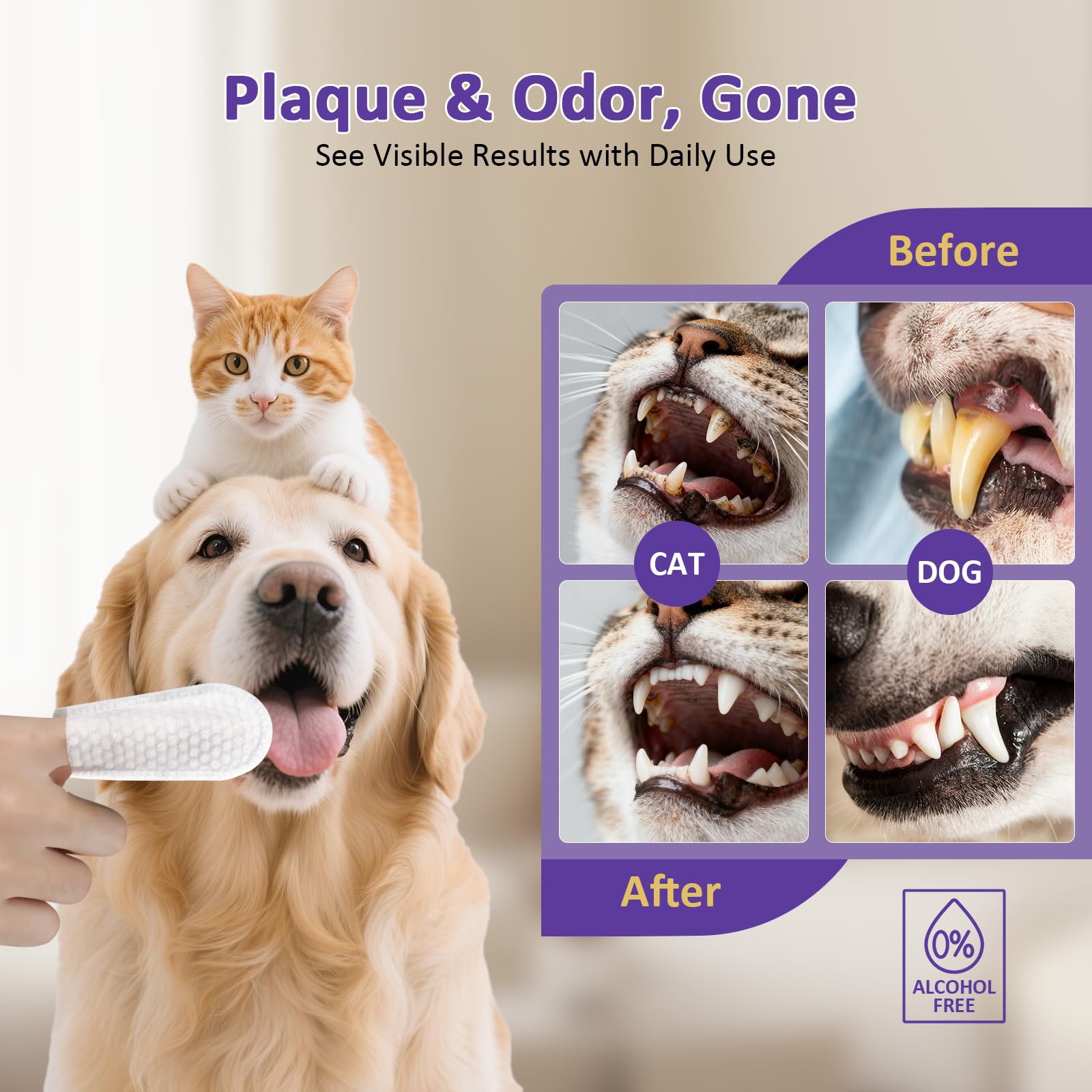 PawBubble gros plan sur texture douce montrant confort et sécurité