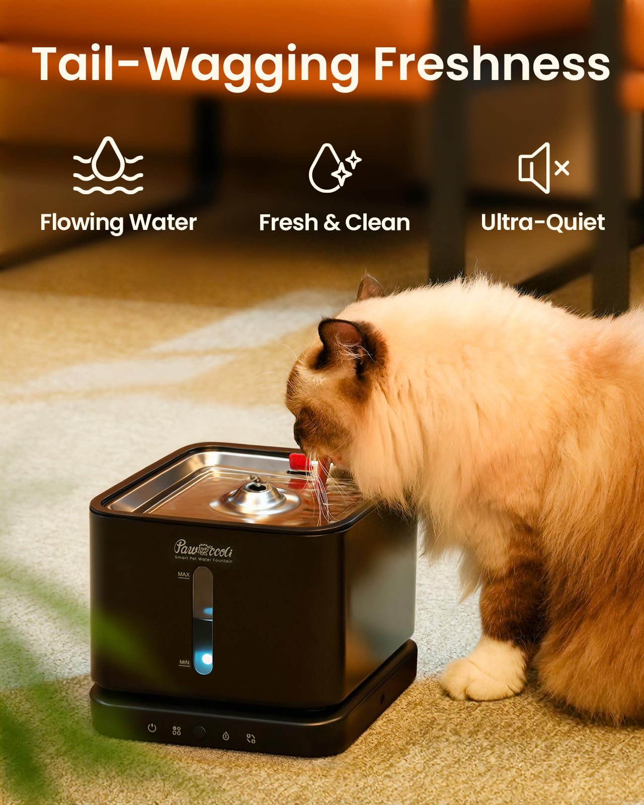 Pawccoli vue dessus montrant le flux d'eau, mouvement attractif pour animaux