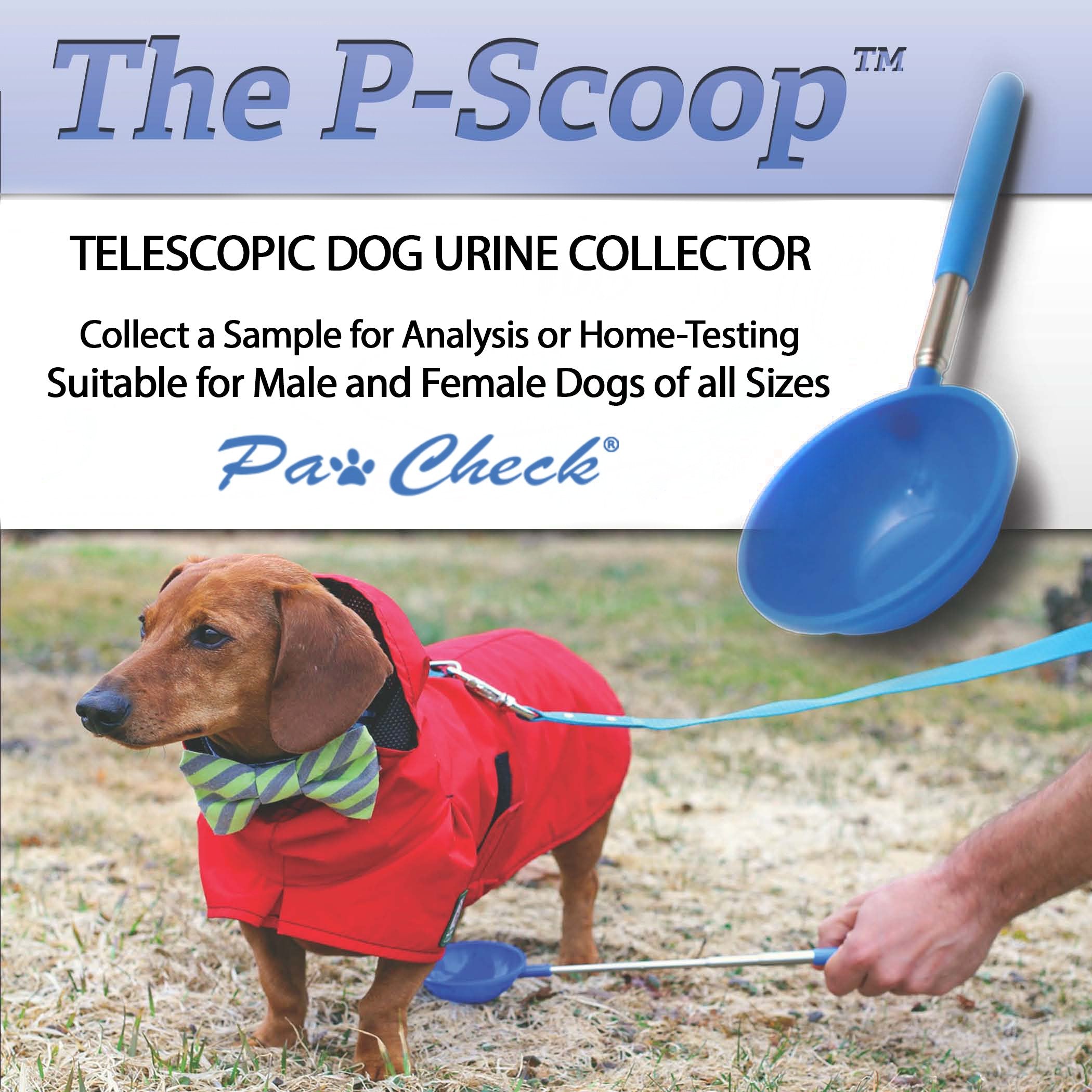 PawCheck P-Scoop coupelle gros plan montrant solidité et précision