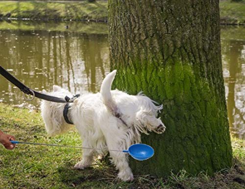 PawCheck P-Scoop manche télescopique étendu permettant distance sécurisée