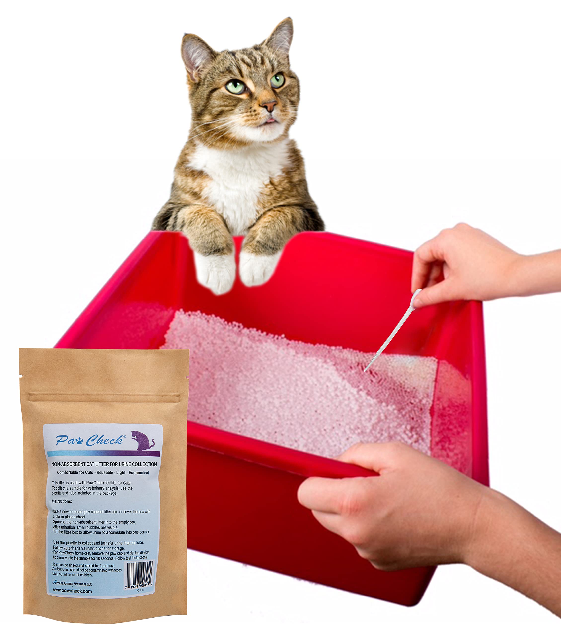 PawCheck pipette et tube inclus pour prélèvement propre et transport sécurisé