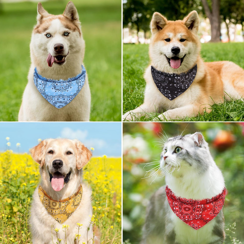 PAWCHIE comparaison taille montrant ajustement pour petits animaux
