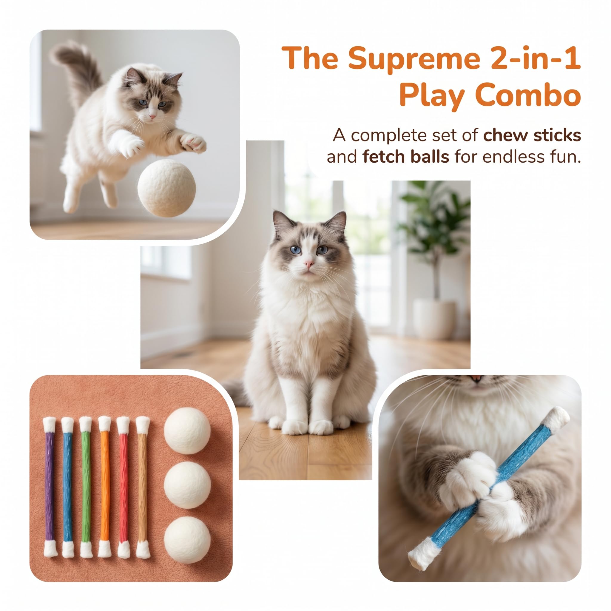 PawCrafter comparaison taille, montre dimensions pour chaton et adulte