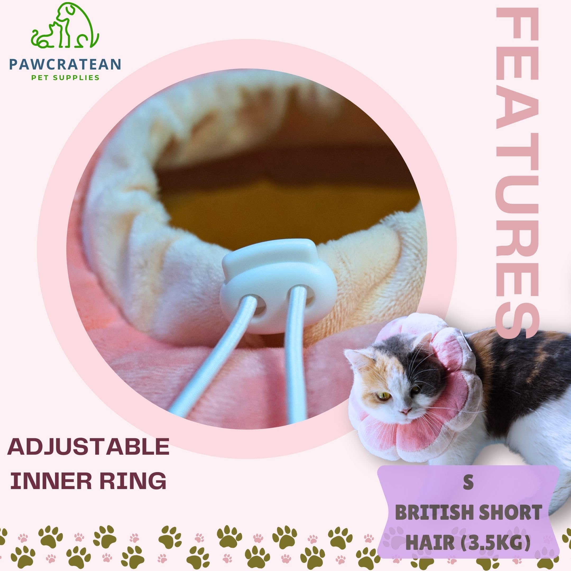 Pawcratean comparaison d'échelle montrant le tour de cou adapté 11–24 cm