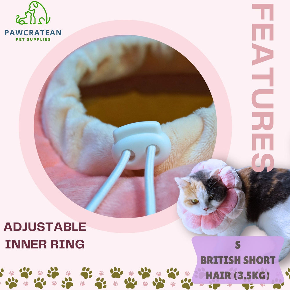 Pawcratean comparaison d'échelle montrant le tour de cou adapté 11–24 cm