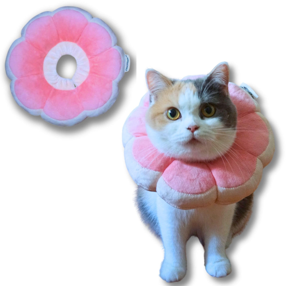 Pawcratean face avant du collier rose montrant la forme fleur et protection confortable