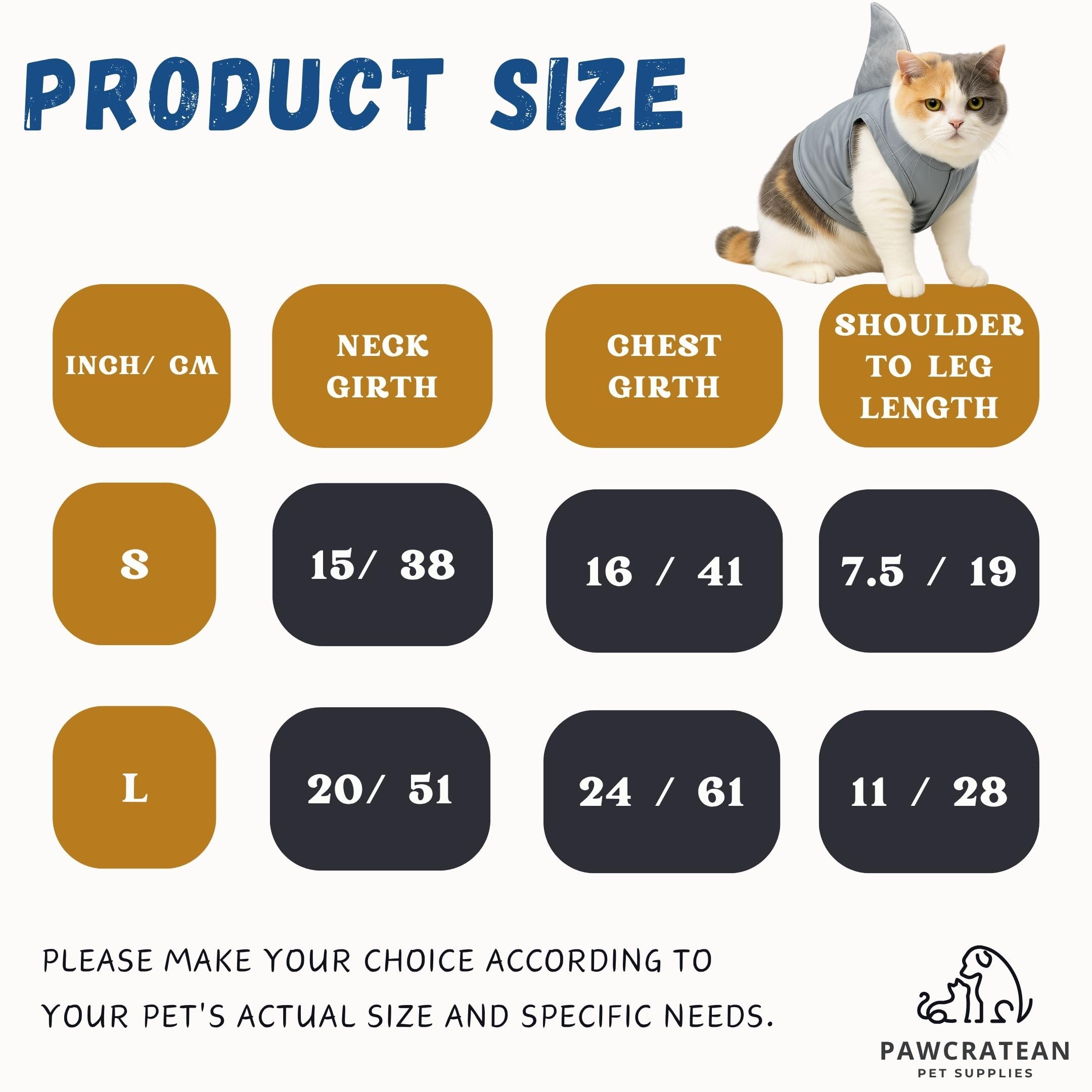 Pawcratean nageoire 3D en gros plan, maintien droit pour photos amusantes