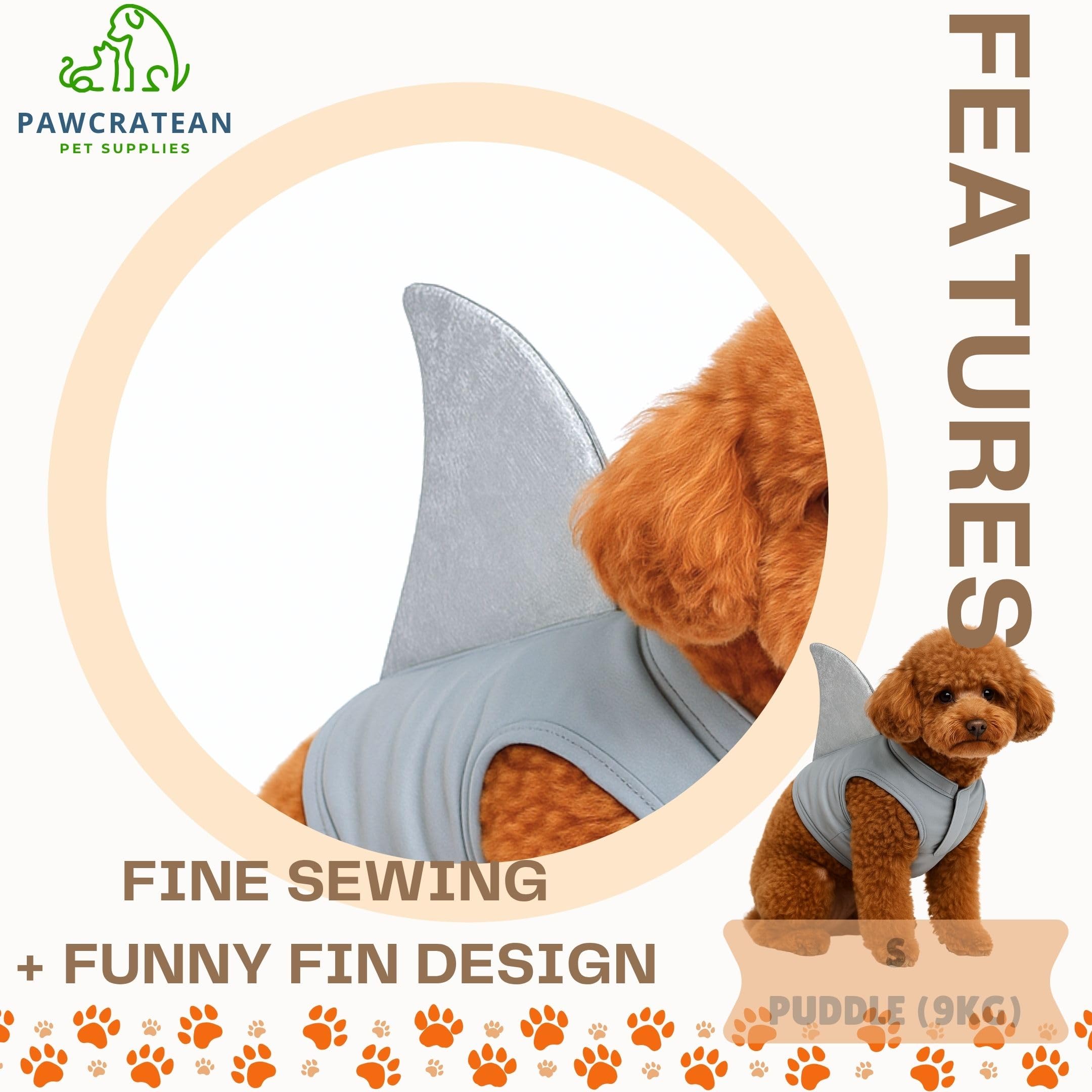 Pawcratean sweat porté en fête Halloween, look festif et photogénique