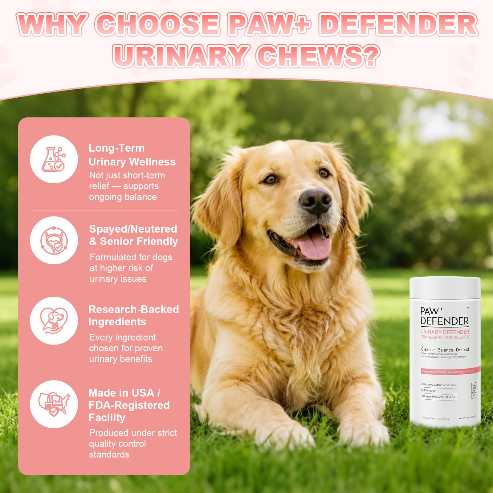 PAWDEFENDER packaging montrant certifications GMP et contrôle qualité