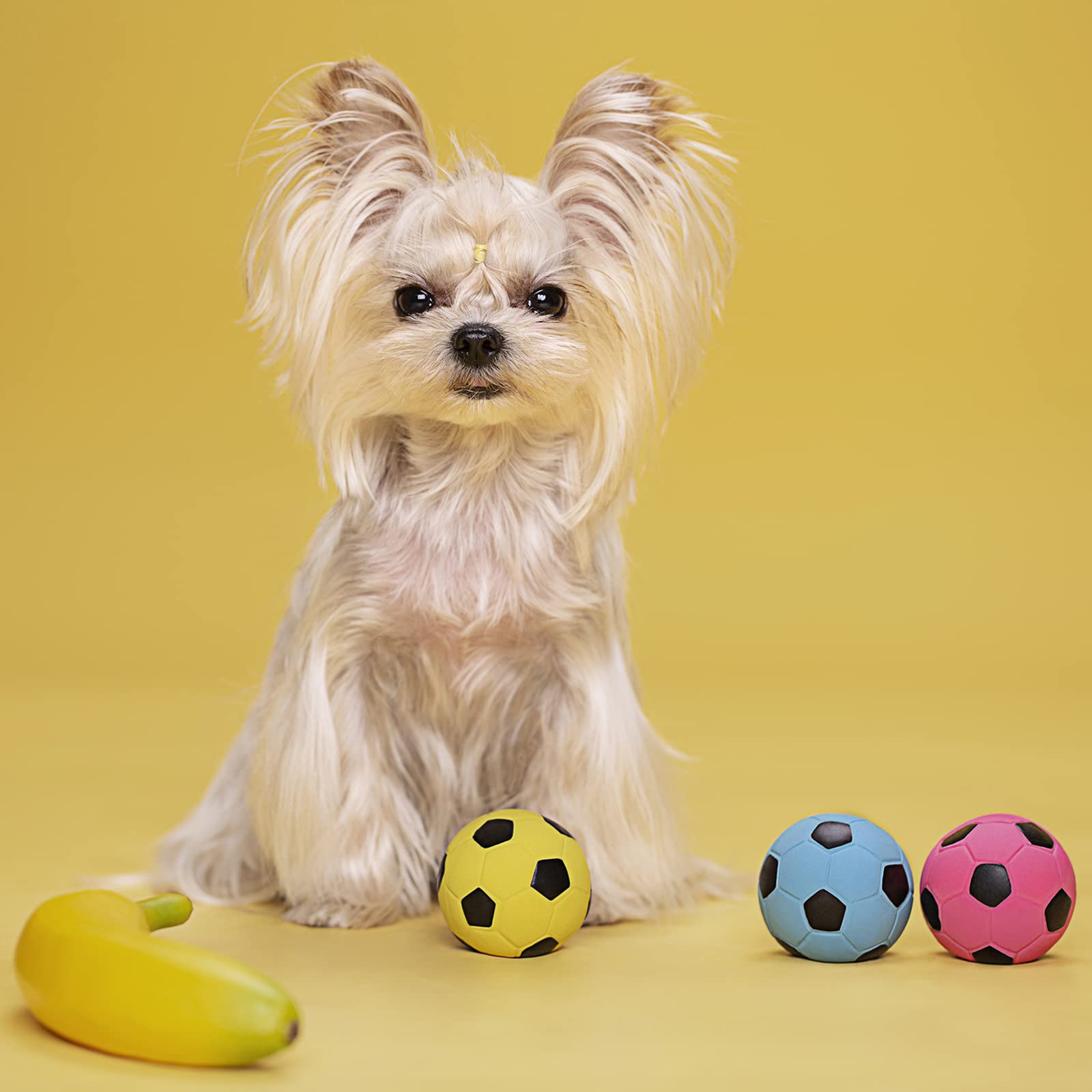 Pawdoer étiquette produit montrant conformité et matériaux non toxiques