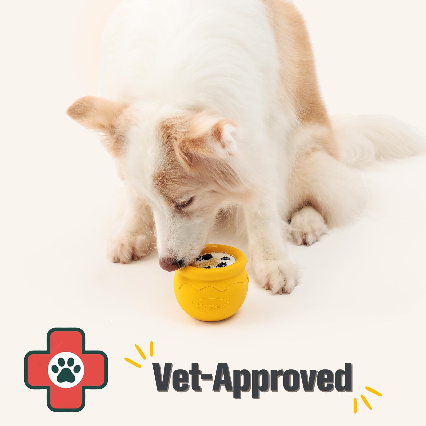 Comparaison Pawdoer Honey Pot avec main pour évaluer taille réelle