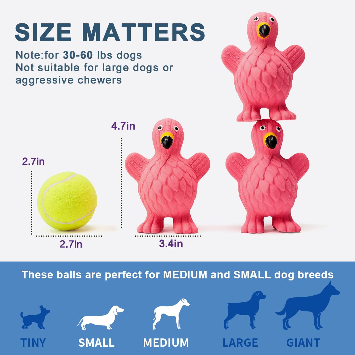 Pawdoer chien de taille moyenne prenant la balle en bouche, facile à saisir