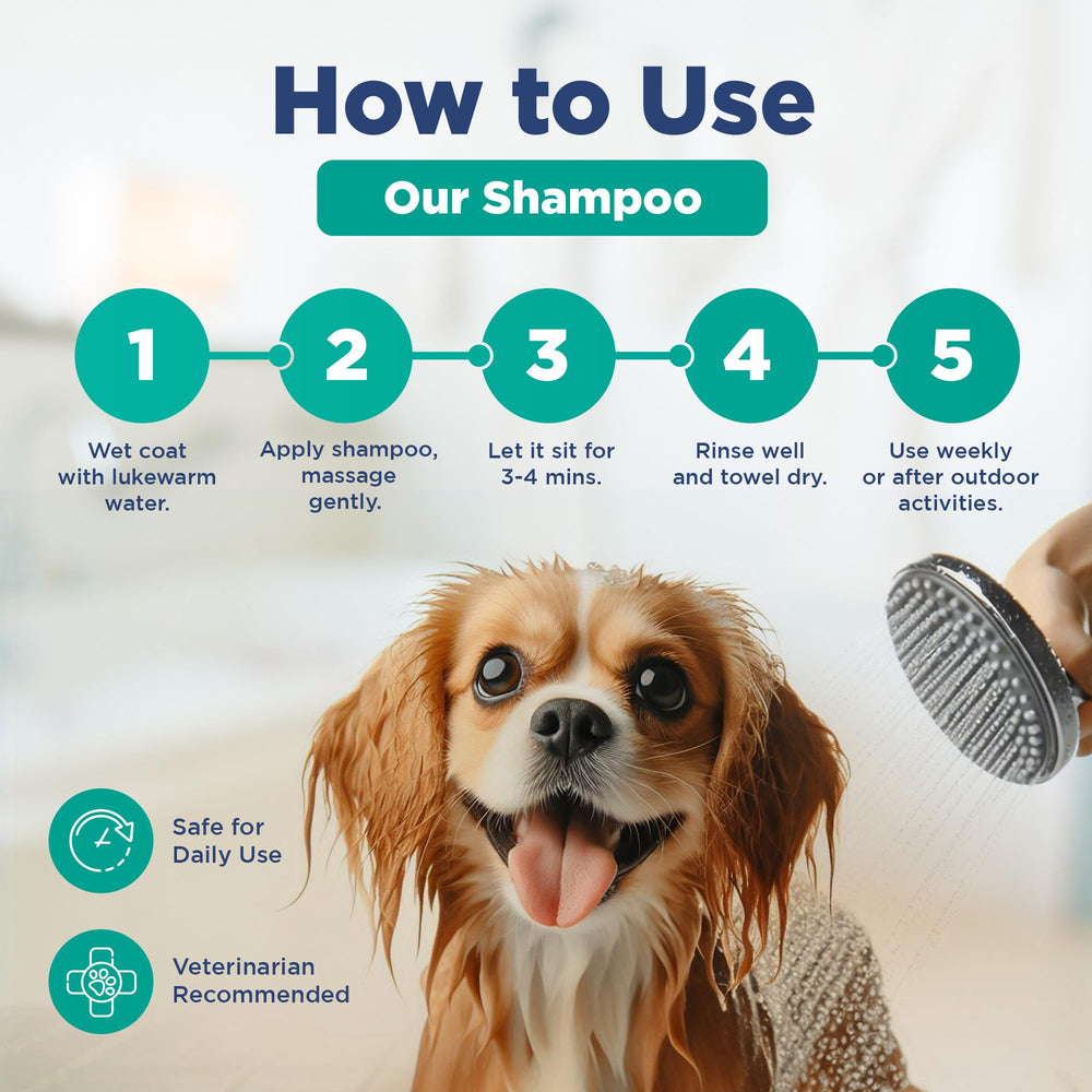 Pawfect by FurFresh bouteille à côté d'objets pour échelle, indique taille pratique