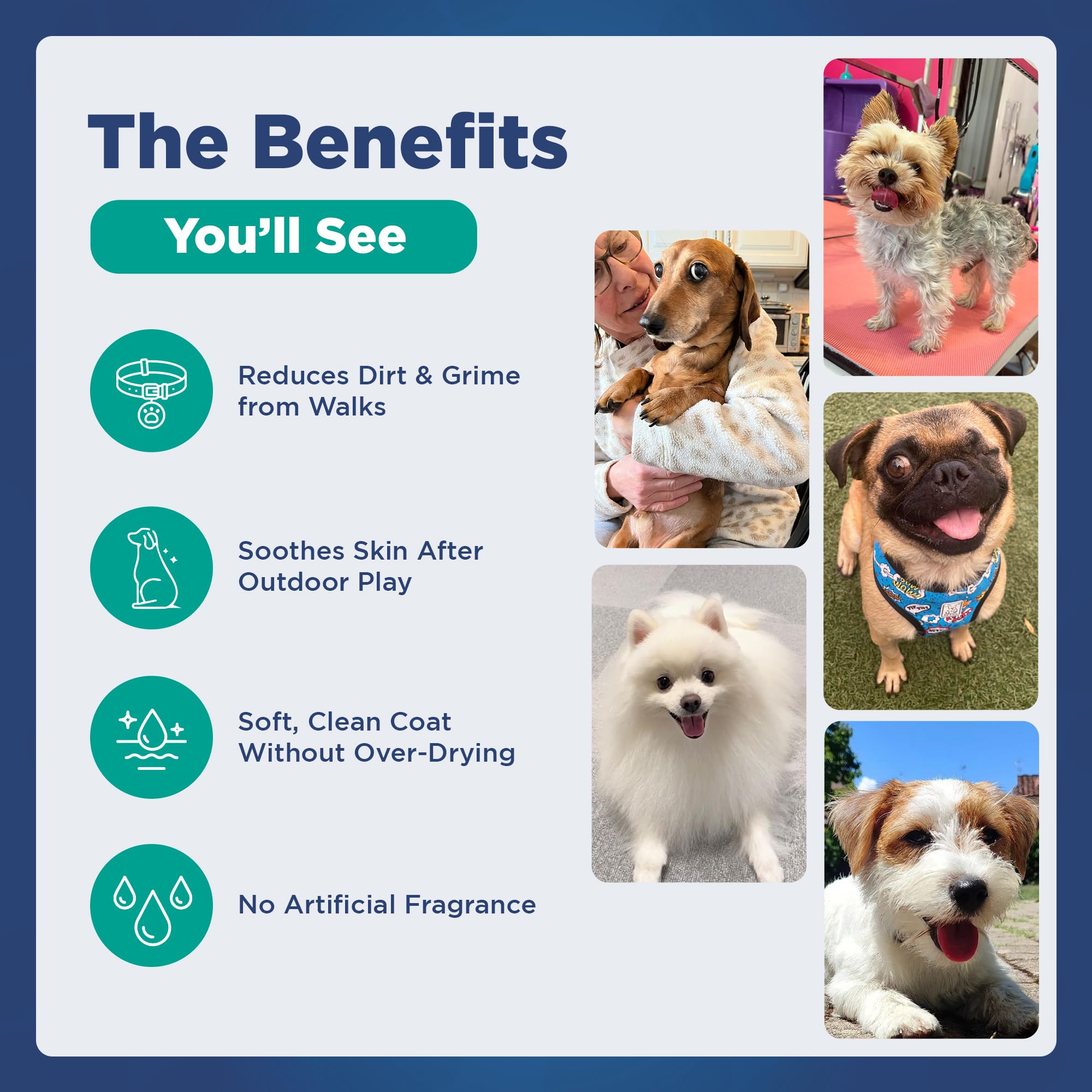 Pawfect by FurFresh pelage de chien propre et brillant, réduit les démangeaisons