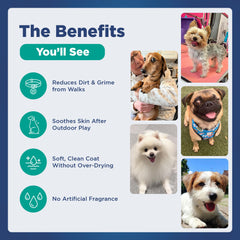 Pawfect by FurFresh pelage de chien propre et brillant, réduit les démangeaisons