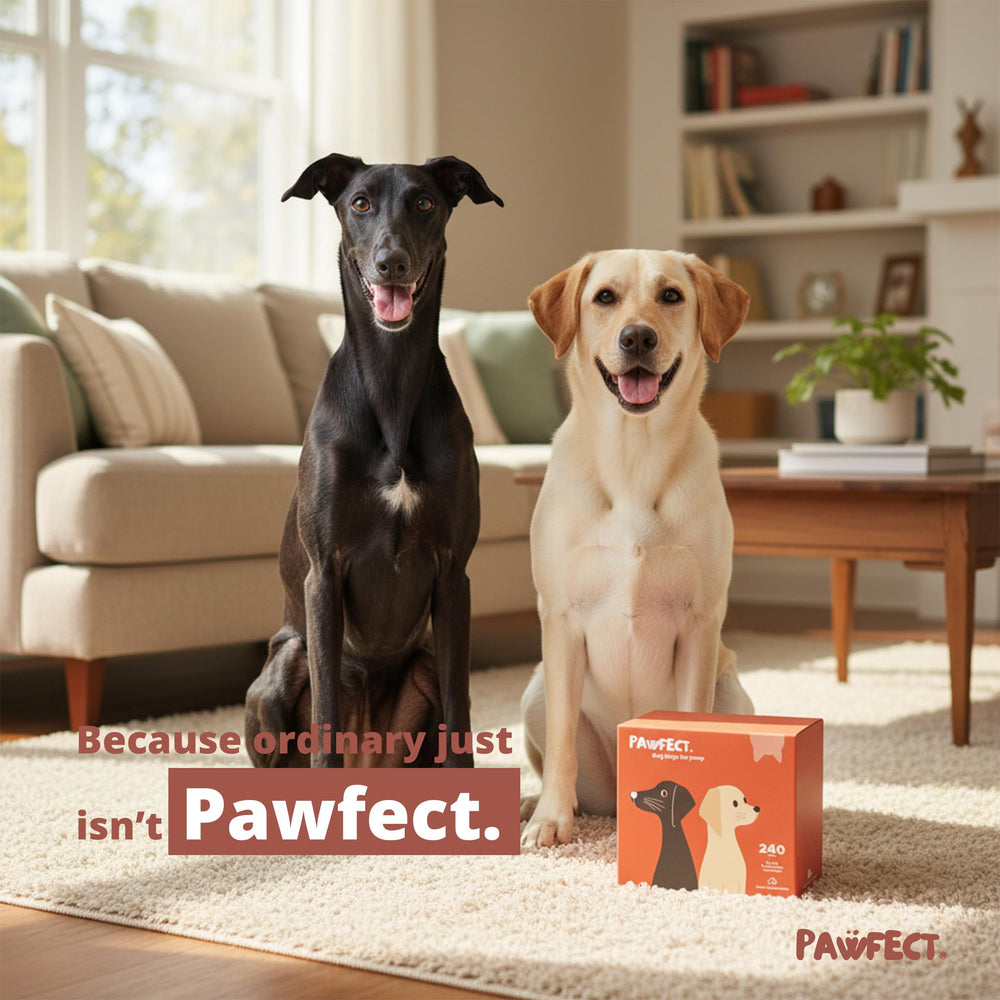 Pawfect texture gros plan montrant épaisseur et résistance du film