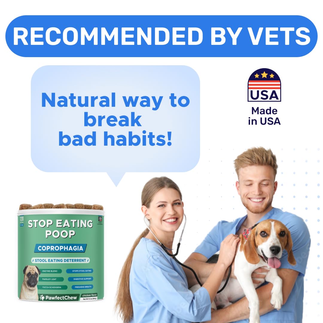 PAWFECTCHEW scène de maison propre montrant amélioration hygiénique