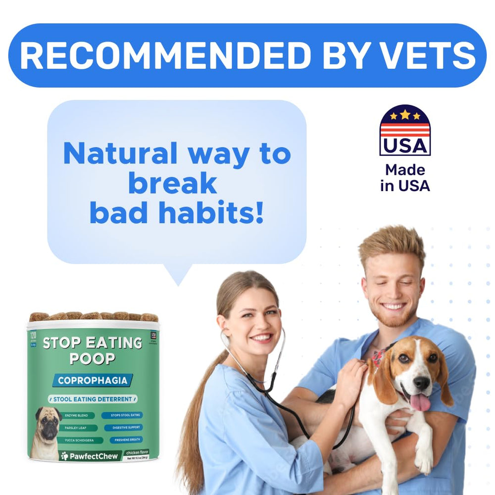 PAWFECTCHEW scène de maison propre montrant amélioration hygiénique