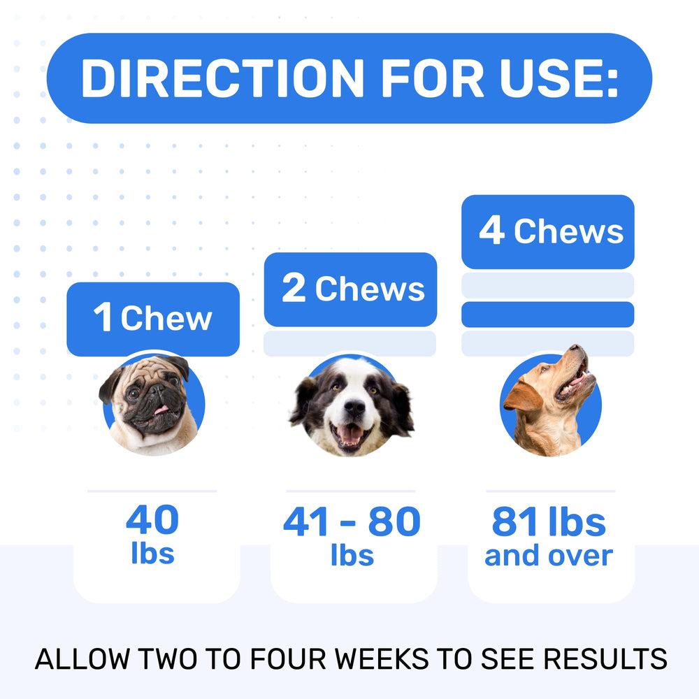 PAWFECTCHEW chien acceptant la gomme bénéfice comportemental