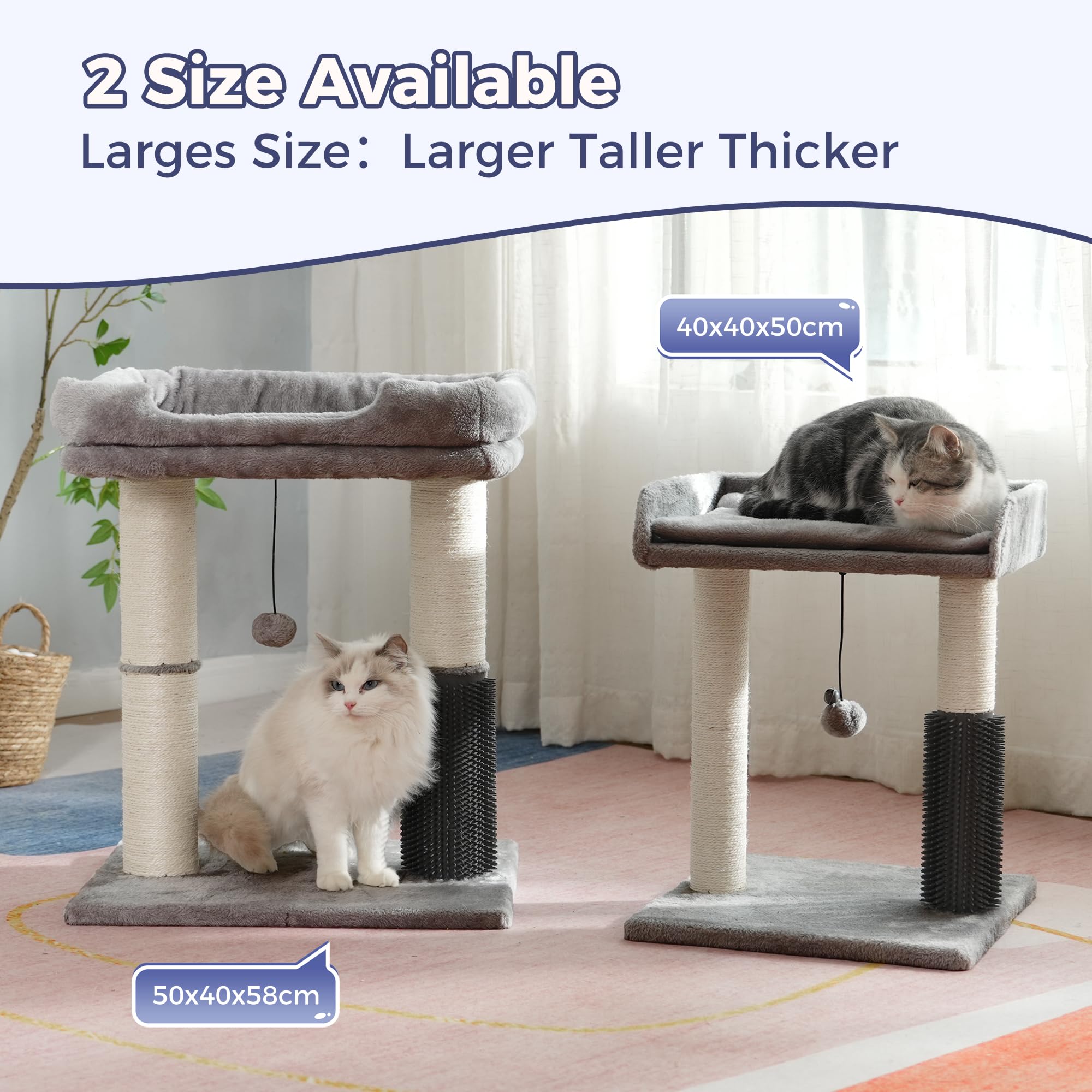 pawfessor arbre à chat en situation avec chat pour comparaison d'échelle et stabilité