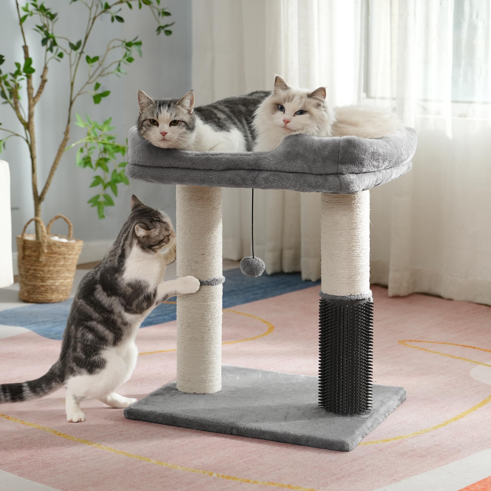pawfessor arbre à chat dans un salon, design neutre gris et beige s'harmonise au décor