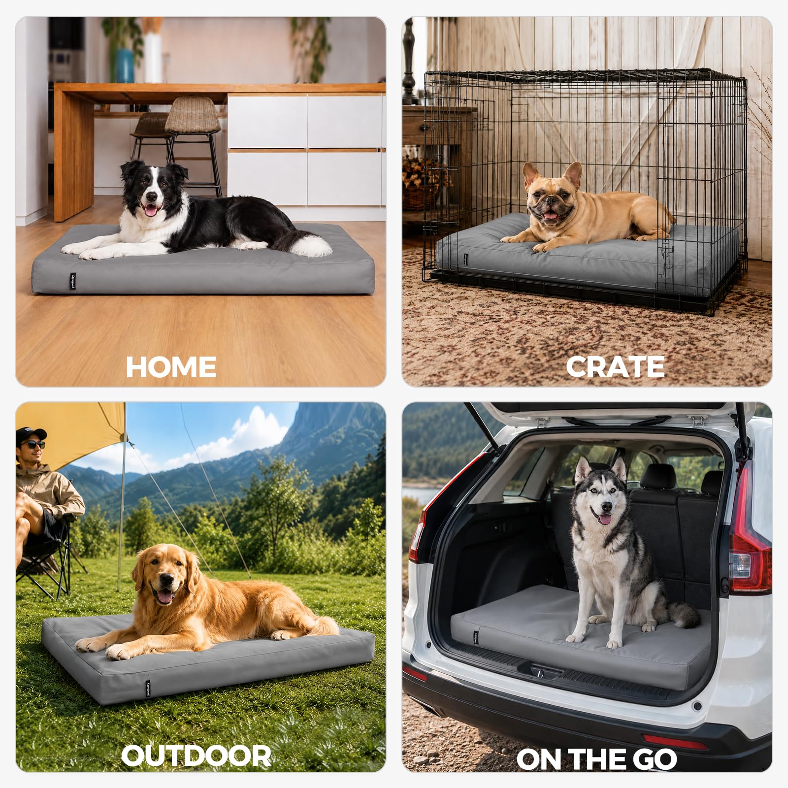 PAWFINITY comparaison taille montre échelle pour grand chien