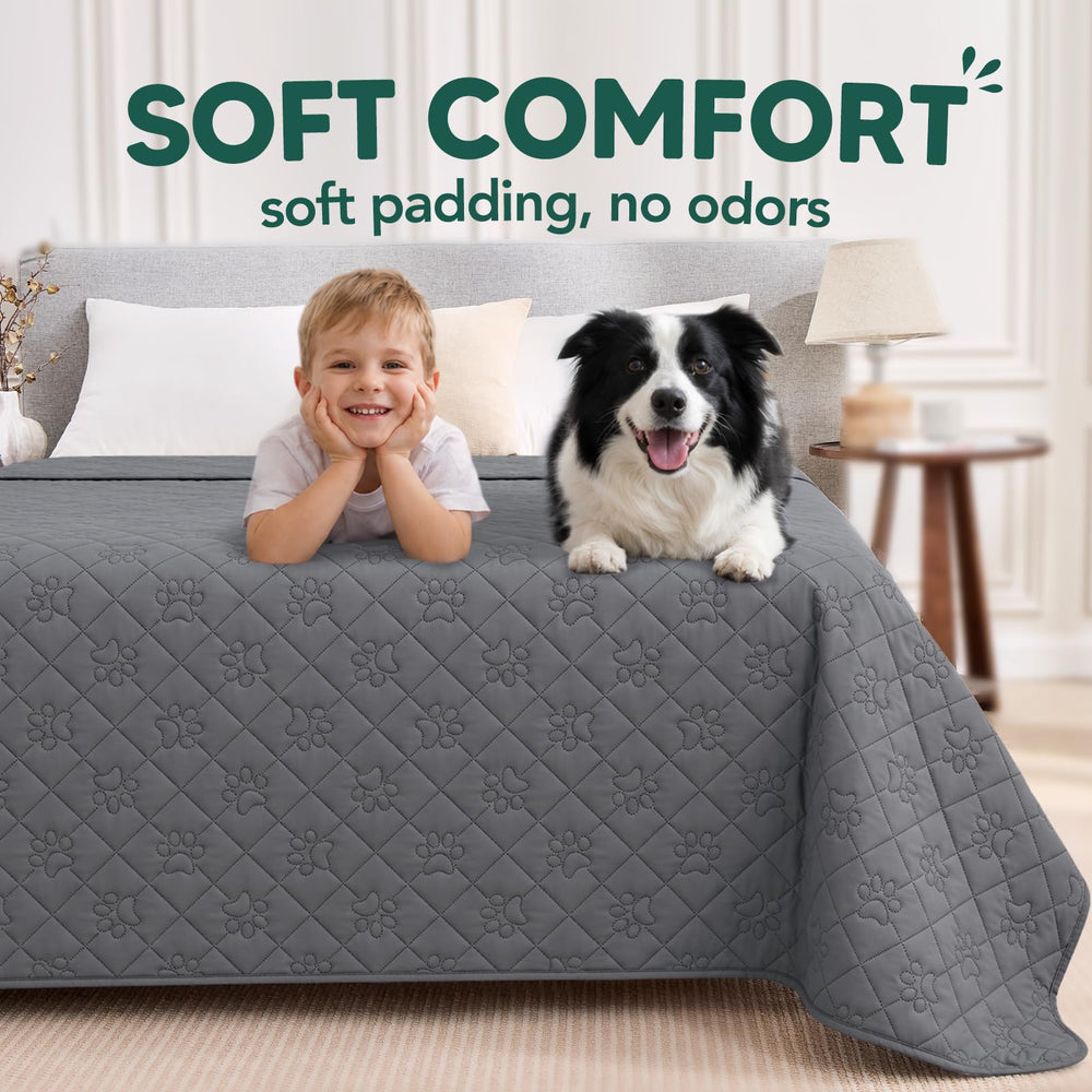 PAWFINITY housse installée sur canapé pour protection quotidienne
