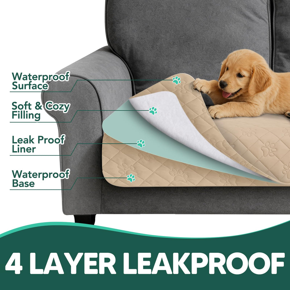 PAWFINITY pliée prête à transporter pour voyage pratique