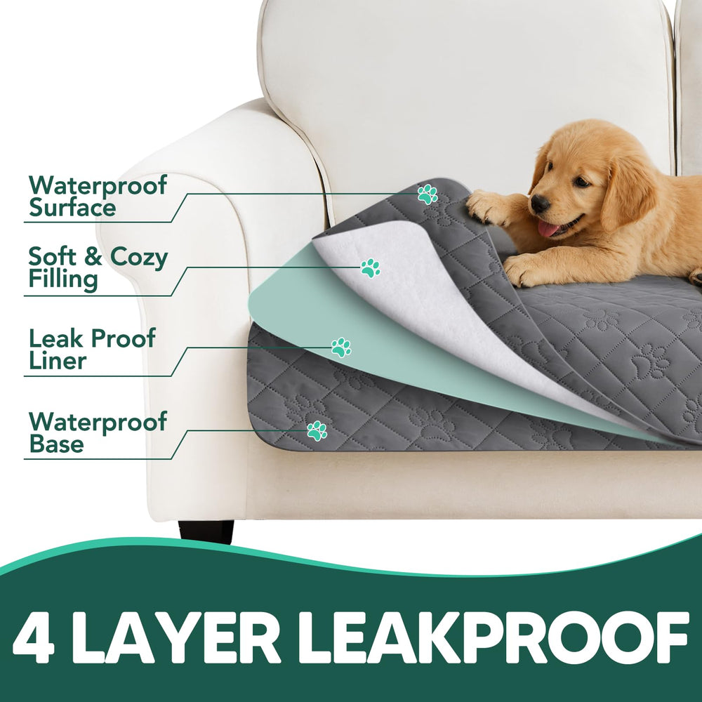 PAWFINITY illustration échelle pour loveseat et dimensions visibles