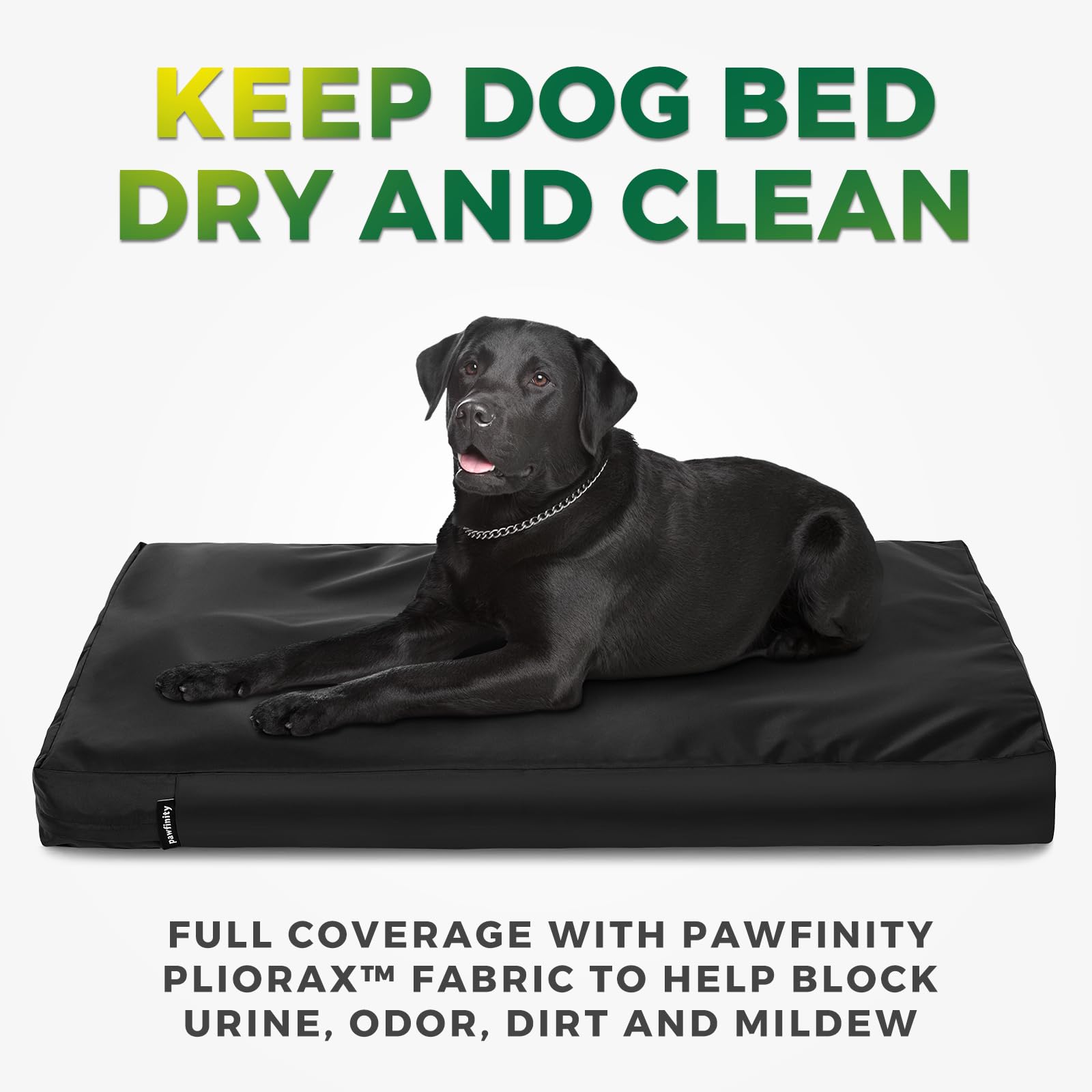 PAWFINITY zoom tissu PlioraX Oxford résistant et doux