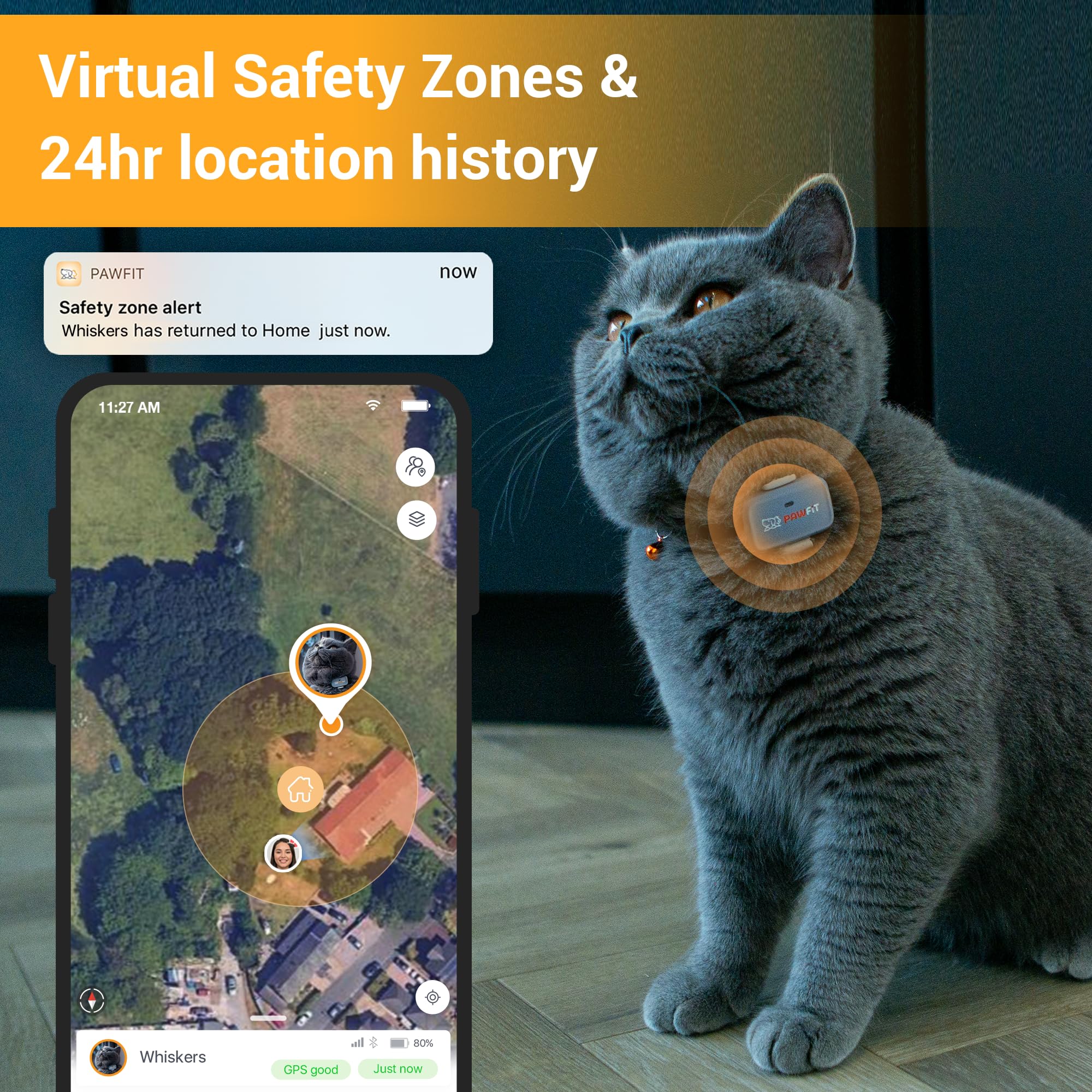 Pawfit traceur en main comparatif taille pour démontrer légèreté