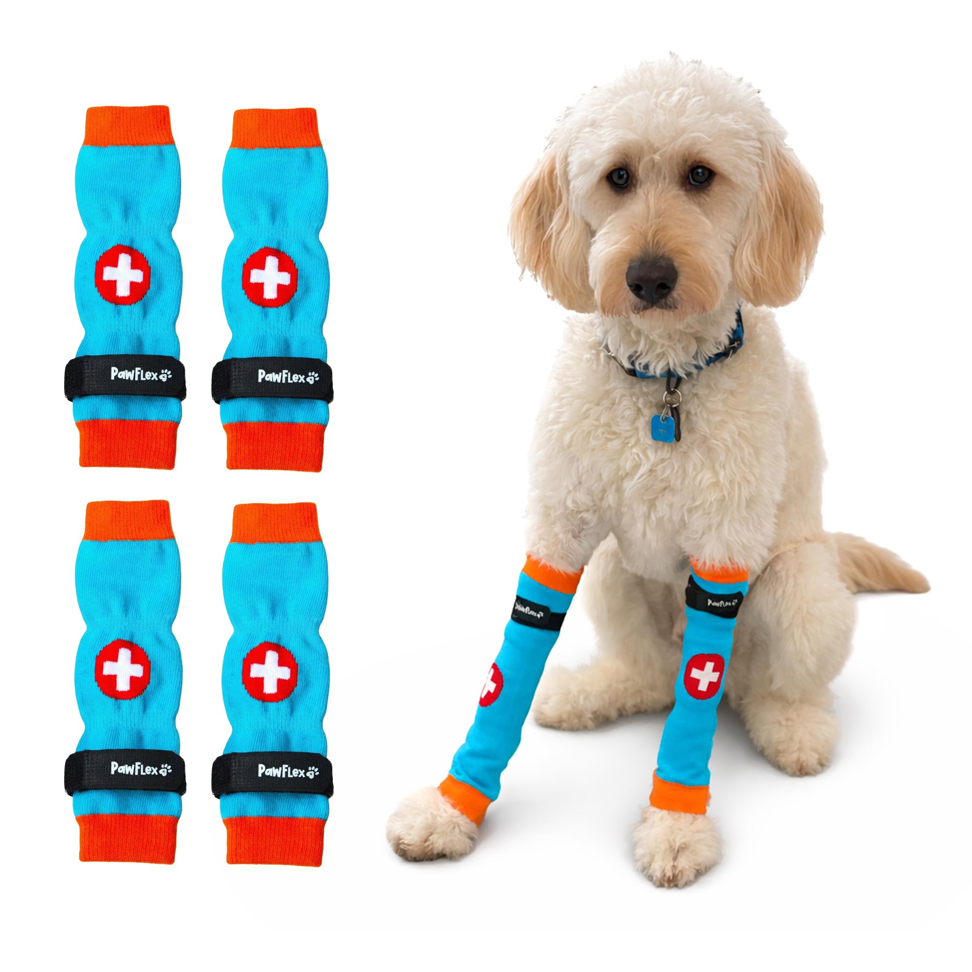PawFlex manchon en place sur patte protégeant pansement
