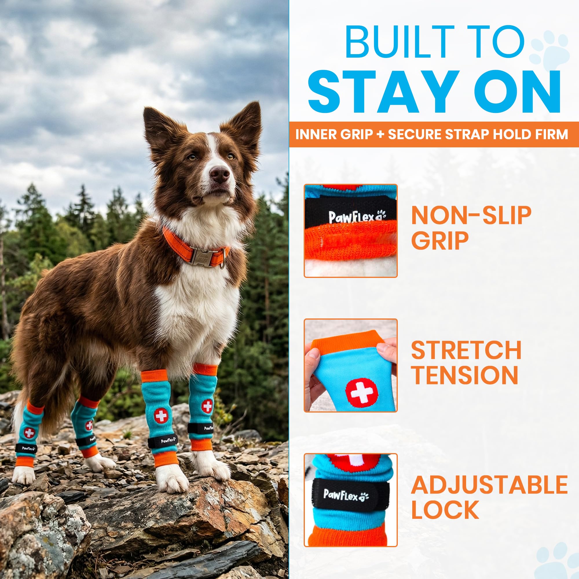 PawFlex chien en promenade avec manchons pour protection extérieure