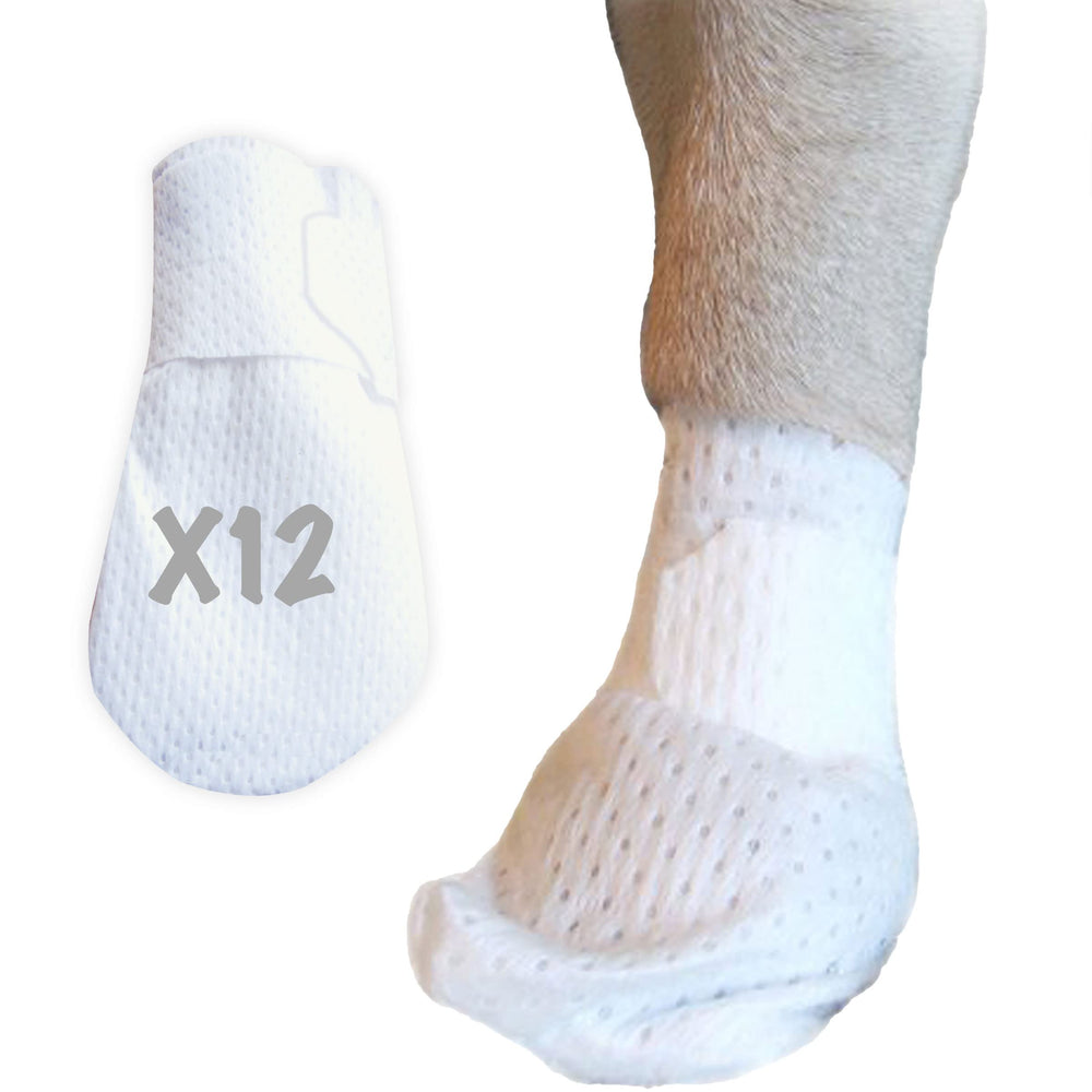 PawFlex emballage avant montrant lot de 12 et bénéfice protection