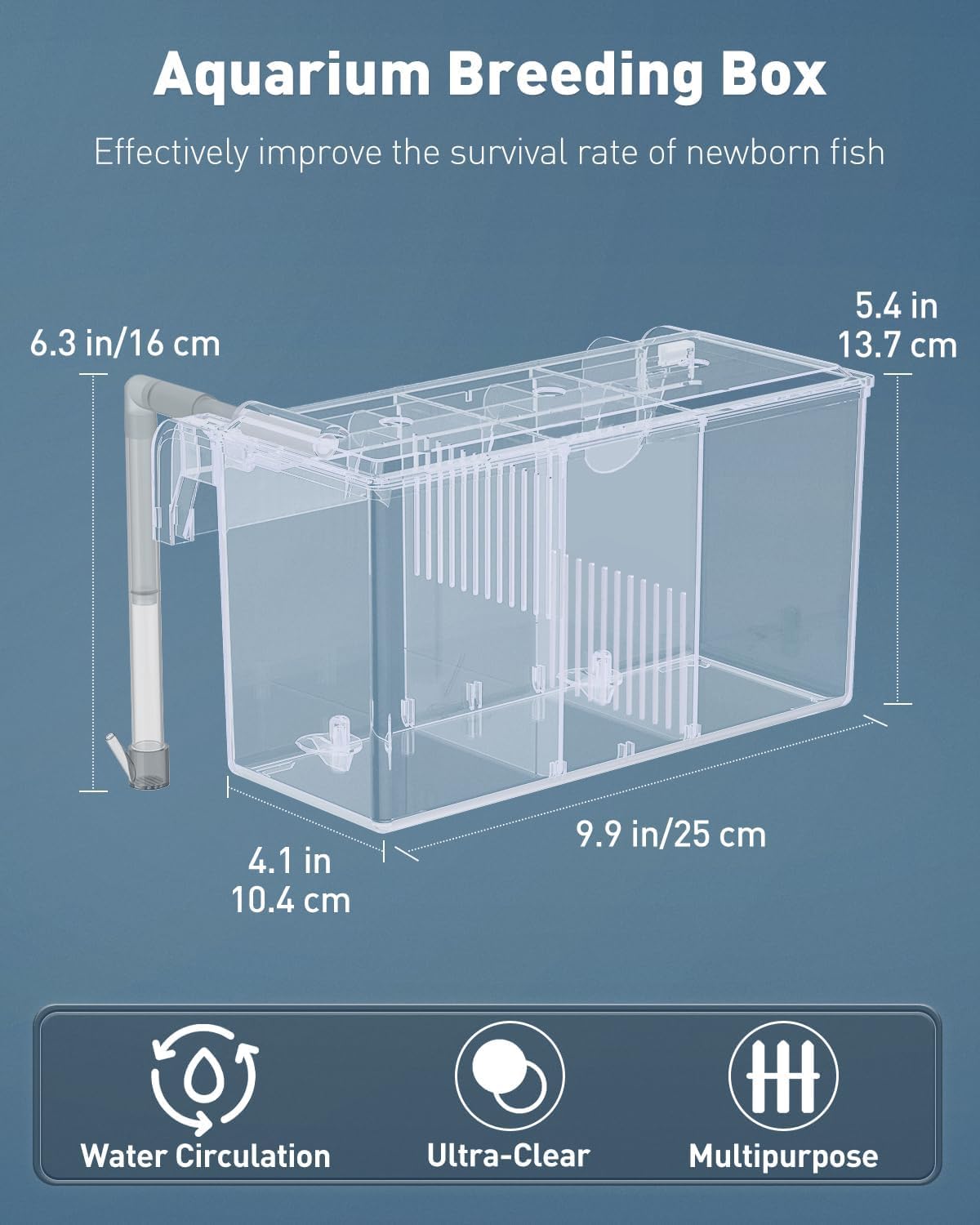 Pawfly gros plan acrylique, résistance et transparence pour observation